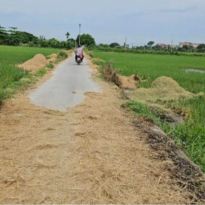 Cổ Loa Citadel